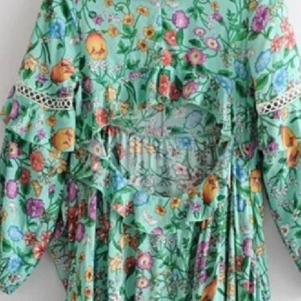 LAST ONE Flur Vineyard Asymmetrical Gown - Picture 4 of 8